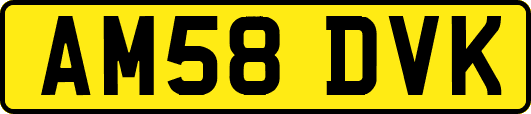 AM58DVK