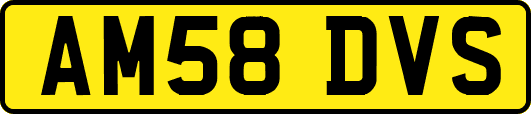 AM58DVS