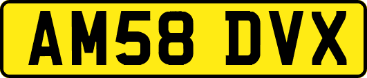 AM58DVX