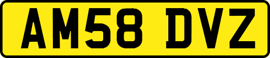 AM58DVZ