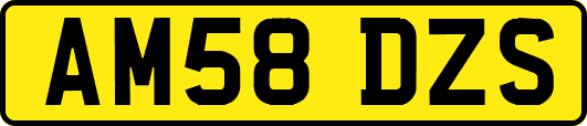 AM58DZS
