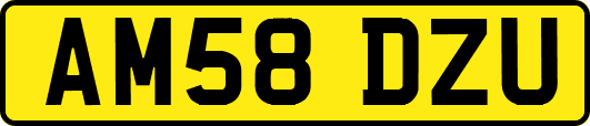 AM58DZU