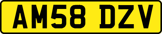 AM58DZV