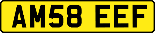 AM58EEF
