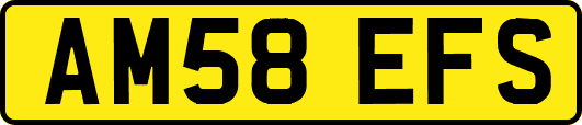 AM58EFS
