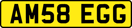 AM58EGG