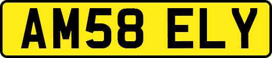 AM58ELY