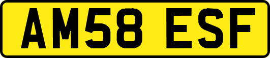 AM58ESF