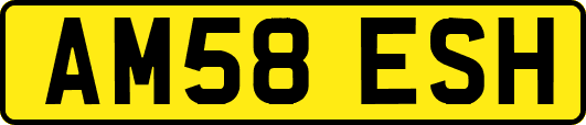 AM58ESH