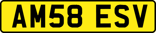 AM58ESV