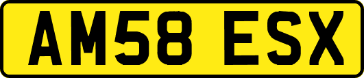 AM58ESX