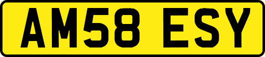 AM58ESY