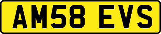 AM58EVS