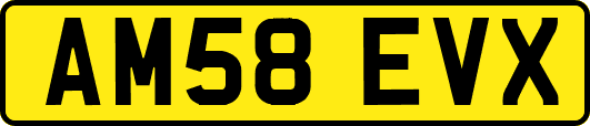 AM58EVX