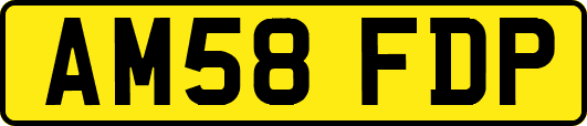 AM58FDP