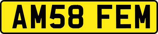 AM58FEM