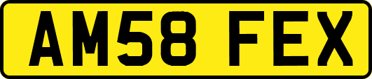 AM58FEX