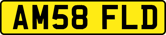 AM58FLD