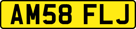 AM58FLJ