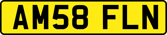 AM58FLN