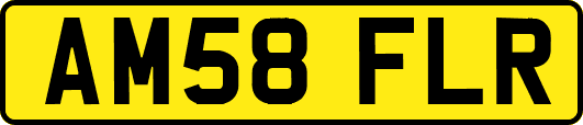 AM58FLR