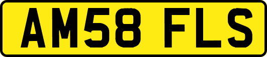 AM58FLS