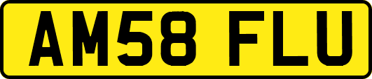 AM58FLU