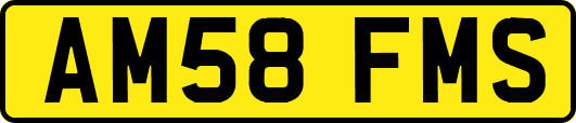 AM58FMS