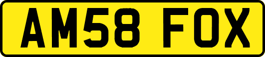 AM58FOX
