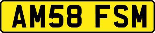 AM58FSM