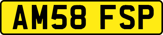 AM58FSP