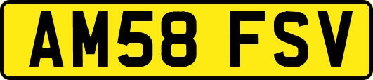 AM58FSV