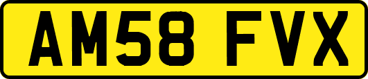 AM58FVX