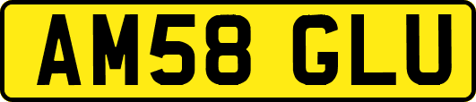 AM58GLU