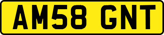 AM58GNT