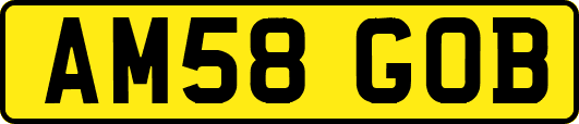 AM58GOB