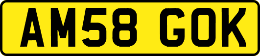 AM58GOK