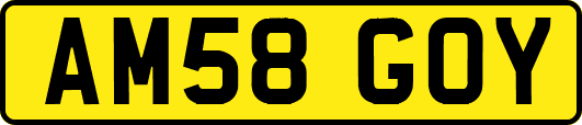 AM58GOY