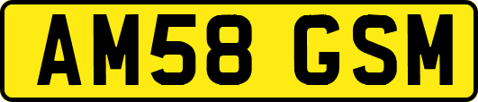 AM58GSM