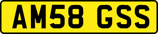 AM58GSS