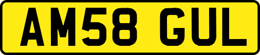 AM58GUL