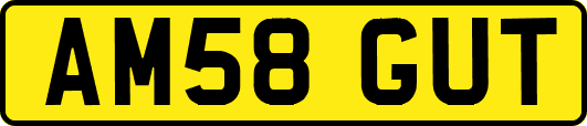 AM58GUT