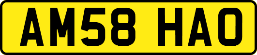 AM58HAO
