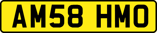 AM58HMO