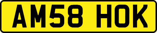 AM58HOK