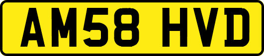 AM58HVD