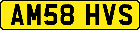 AM58HVS