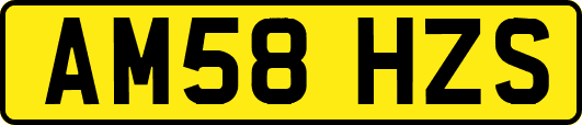 AM58HZS