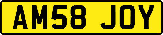 AM58JOY