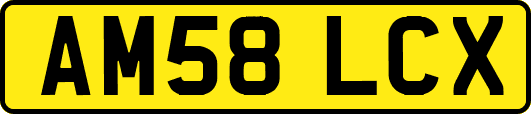 AM58LCX